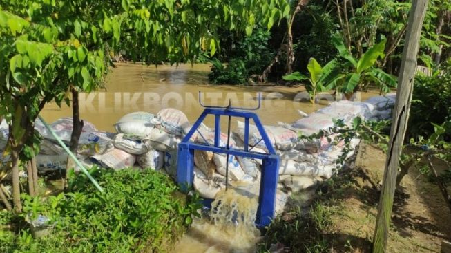 Wali Kotanya 'Dinas' ke Jatim, Warga RT 33 Api-api Bontang Bangun Turap Darurat dari Karung Pasir Buat Hadang Banjir