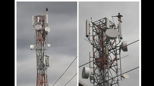 Aksi Nekat Pria Penyandang Disabilitas Panjat Tower Telekomunikasi Setinggi 44 Meter, Bikin Geger Warga