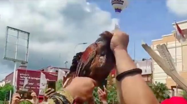 Masyarakat Dayak Gelar Ritual Potong Babi dan Ayam, Minta Edy Mulyadi Diadili secara Adat