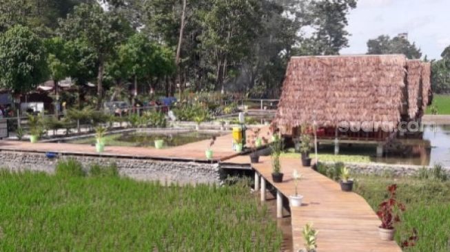 Spot wisata di Desa Je'netallasa, Kecamatan Pallangga, Kabupaten Gowa, Sulawesi Selatan [SuaraSulsel.id/Dokumentasi Rusdin Tompo]