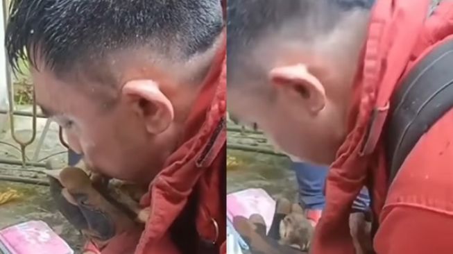 Viral Petugas Damkar Beri Napas Buatan Selamatkan Nyawa Anak Kucing: The Real Pahlawan Tanpa Tanda Jasa