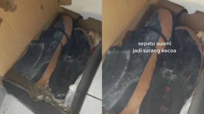 Rumah Ditinggal 2 Bulan Gegara Melahirkan, Pas Pulang Wanita Ini Syok Lihat Penampakan Kulkas dan Sepatu (TikTok)