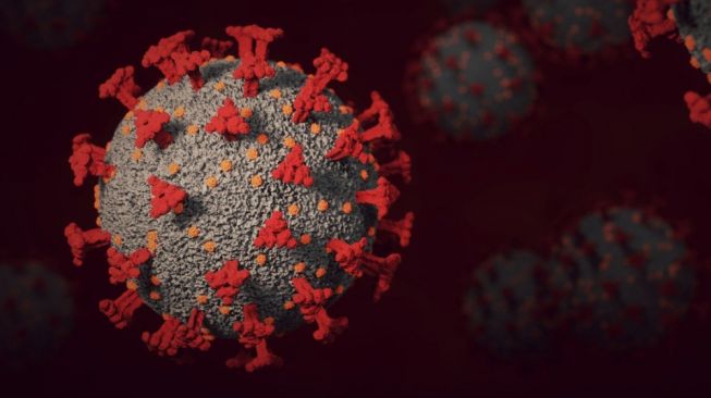 Jember Aktifkan Kembali PPKM Mikro Akibat Lonjakan Kasus Virus Corona
