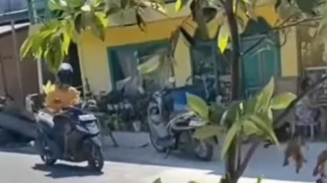 Viral Emak-emak Marah Kejar Pria Diduga sedang Masturbasi di Depan Rumahnya