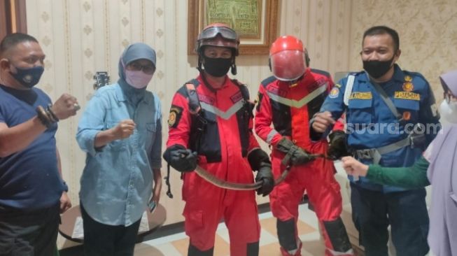 Ular Panjang Masuk Rumah Dekan Fakultas Hukum Unhas Prof Farida Patittingi, Tim Pemadam Kebakaran Dikerahkan