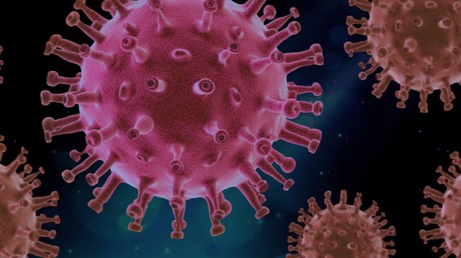 Apa Itu NeoCov? Virus Varian Baru Covid-19 yang Diklaim Ilmuwan China Punya Tingkat Kematian Lebih Tinggi