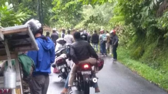 Pohon Tumbang, Jalan Kelok 44 di Kabupaten Agam Macet Total