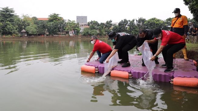 Peringati HUT ke-49 PDI Perjuangan, BMI Tanam 200 Pohon dan Penebaran Benih Ikan