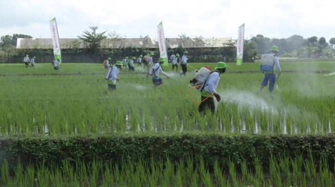 Petrokimia Gresik Kerahkan Gerakan Pengendalian Hama untuk Kawal 13.099 Hektare Lahan di Indonesia