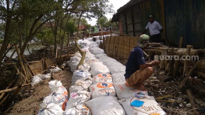 Puluhan Rumah Warga di Demak 'Diratakan' Ombak, Warga Minta Pemkab Bangun Talut!
