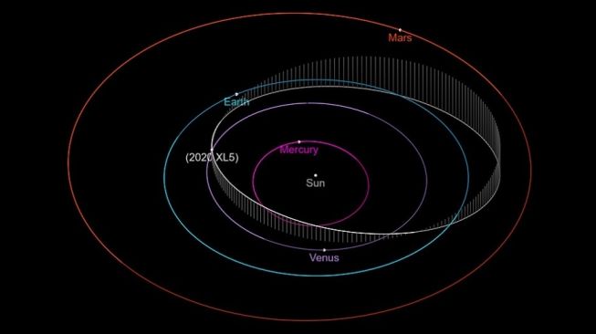 Asteroid 2020 XL5. [Wikipedia]