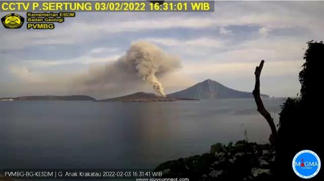 Gunung Anak Krakatau Meletus, Ketinggian Kolom Abu 200 Meter