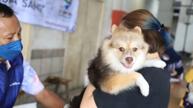 Pemilik hewan peliharaan mengikuti vaksinasi rabies untuk anjing peliharaannya. [Dok DKP Kota Tangerang]