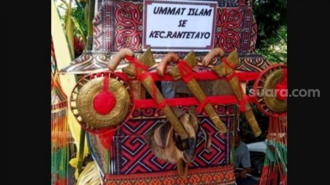Umat Muslim Sumbang Dua Ekor Kambing Untuk Peresmian Gereja Katolik di Tana Toraja, Netizen Terharu