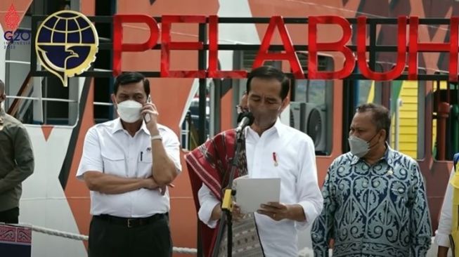 Terima Telepon Saat Presiden Pidato, Haris Pertama Minta Jokowi Beri Sanksi Tegas Luhut