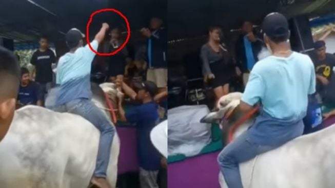 Viral Pria Nyawer Biduan Dangdut Sambil Menunggangi Sapi, Endingnya Bikin Ngakak