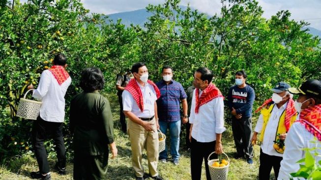 Presiden Jokowi saat meninjau Kampung Jeruk Liang Melas Datas, Kabupaten Karo, Sumatera Utara, Jumat (4/2/2022). [Foto: Laily Rachev - Biro Pers Sekretariat Presiden]