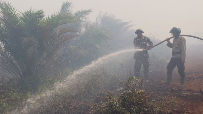 Angin Kencang, Damkar Kewalahan Padamkan Api 4 Ha Lahan Gambut yang Terbakar di Bengkalis