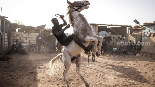 Seorang joki berlatih mengendalikan kudanya di Kota Ouagadougou, Burkina Faso, Selasa (1/2/2022). [Photo by JOHN WESSELS / AFP]