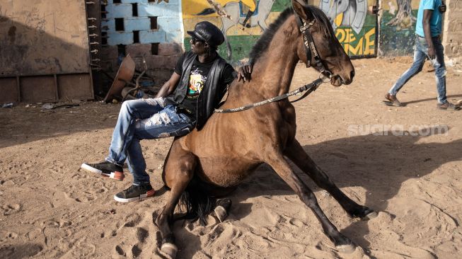 Joki bernama Faso Alli memamerkan gaya khas dengan salah satu kudanya di Kota Ouagadougou, Burkina Faso, Selasa (1/2/2022). [Photo by JOHN WESSELS / AFP]