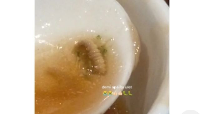 Viral Pengunjung Resto di Surabaya Ini Kaget Temukan Ulat di Mangkok Sop, Warganet Bilang Protein Tambahan