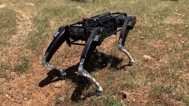 Canggih! Robot Anjing Siap Jadi Penjaga Perbatasan AS