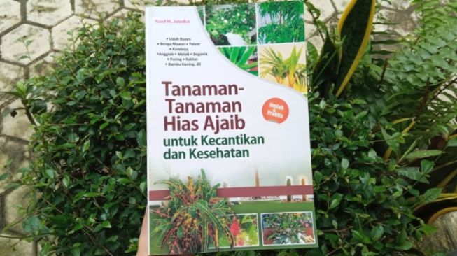 Menelisik Khasiat Daun Sirih Merah dalam Buku Tanaman-tanaman Hias Ajaib untuk Kecantikan dan Kesehatan