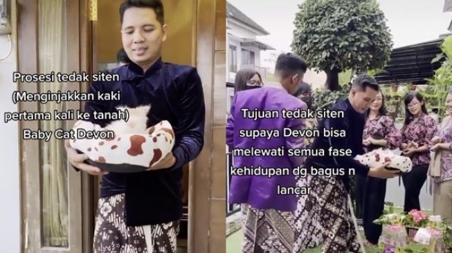 Viral Prosesi Tedak Siten Bayi Kucing, Warganet: Masa Depan Kucing Lebih Cerah dari Kaum Rebahan