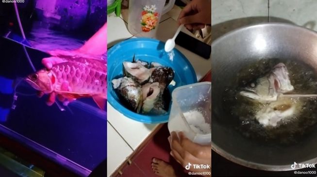 Pemuda pamer kemampuan memasak makanan mahal malah bikin naik darah. (TikTok/@danoo1000)