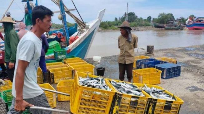 Aceh Selatan Target Produksi Ikan Tangkap 32.577 Ton Tahun Ini