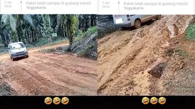 Viral Kurir Offroad Pakai Mobil Paket di Kebun Sawit, Publik Terharu: Kurir Pro Player!