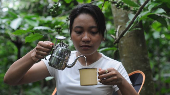 Wisatawan mencoba meracik kopi di kebun kopi kaki Gunung Merbabu, Banyuanyar, Ampel, Boyolali, Jawa Tengah, Jumat (11/2/2022). [ANTARA FOTO/Aloysius Jarot Nugroho] 