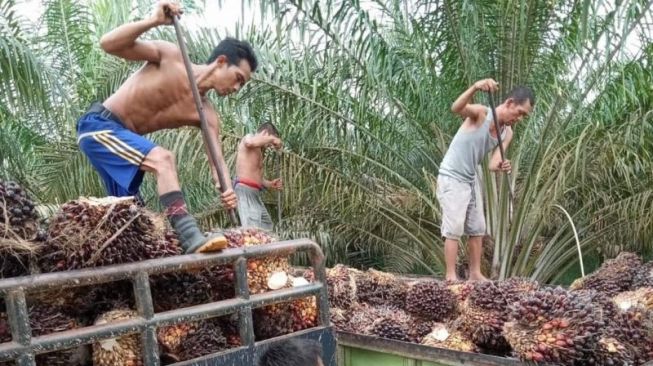 DPRD Kotawaringin Timur Berharap Dana Bagi Hasil Kelapa Sawit Segera Terwujud