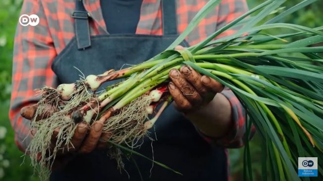 Teknik Pertanian Permakultur, Cara Produksi Makanan Tanpa Merusak Bumi