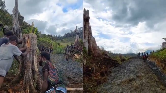 Anak-anak Pedalaman Papua Kerja Sama Membuat Akses Jalan Menuju Sekolah (Twitter/@Mvhy99)