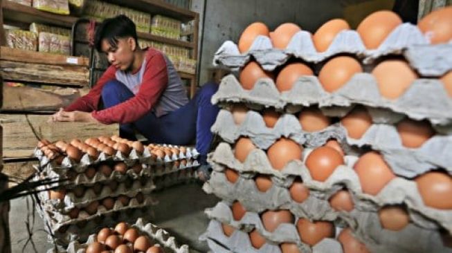 Berbalik, Telur Ayam Kini Bikin Deflasi 0,11% di Pekan Kedua Februari 2022