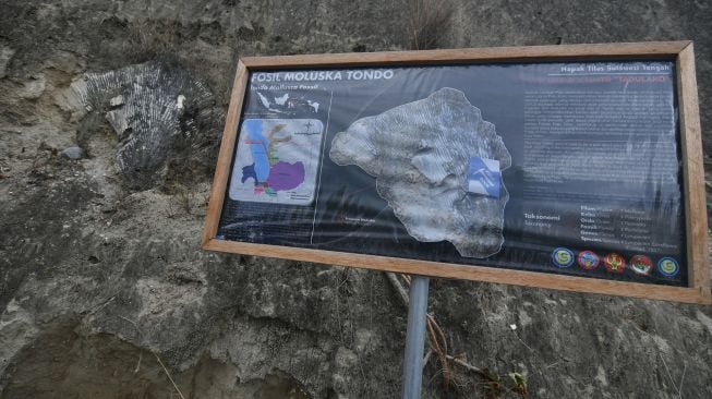 Sebuah papan penanda dan informasi berada di dekat fosil hewan laut yang berada di kawasan perbukitan di Kelurahan Tondo di Palu, Sulawesi Tengah, Sabtu (12/2/2022). ANTARA FOTO/Mohamad Hamzah