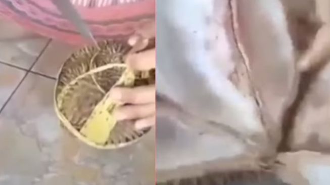 Viral Emak-Emak Curhat Beli Durian Rp 50 Ribu Dapat Tiga, saat Dibuka Isinya Kosong