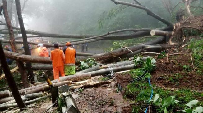 Jalur Akses Trenggalek Menghubungkan Ponorogo Tertutup Longsor