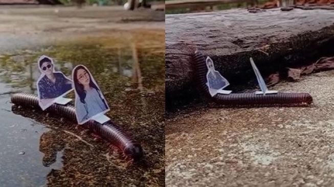 Viral Kaki Seribu Arak Foto Sejoli, Videonya Bikin Ngakak: Jalan-jalan sama Ayang