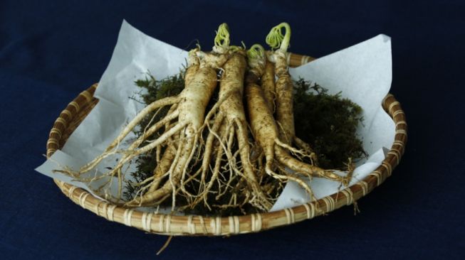 Kenali 4 Manfaat Ginseng untuk Kesehatan Tubuh, Sudah Dipercaya