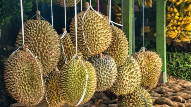 Wajib Tahu! Konsumsi Durian dapat Cegah Penyakit Jantung hingga Kanker