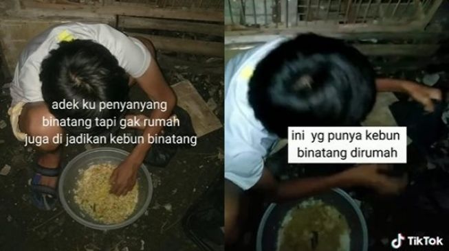 Adik Sayang Hewan, Kakak Taubat Rumah Jadi Kebun Binatang: Dicium Tawon sampai Nangkap Biawak