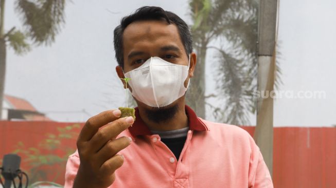 Warga saat melakukan perawatan sayur yang ditanam dengan sistem hidroponik di greenhouse atau rumah kaca di Rusun Menara Samawa, Pondok Kelapa, Jakarta Timur, Selasa (15/2/2022). [Suara.com/Alfian Winanto]