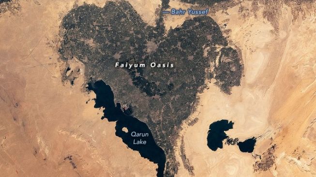 Faiyum Oasis, oasis kuno berbentuk hati di Mesir. [NASA]