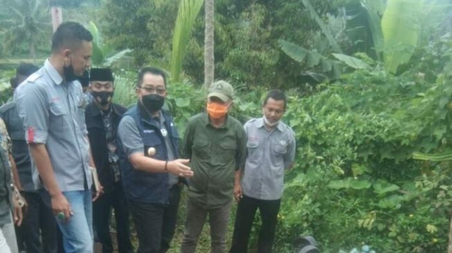 Domba Garut Cigalontang Berkembang