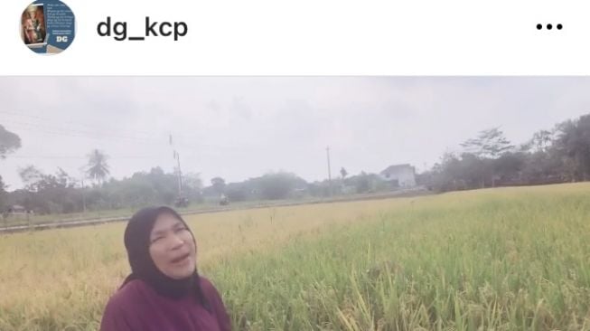 Dorce Gamalama menyapa Bapak Presiden Joko Widodo dan Wakil Presiden Maruf Amin saat berperjalanan ke Sleman Yogyakarta, langsung dari tepian sawah pinggir jalan [Instagram @dg_kcp].