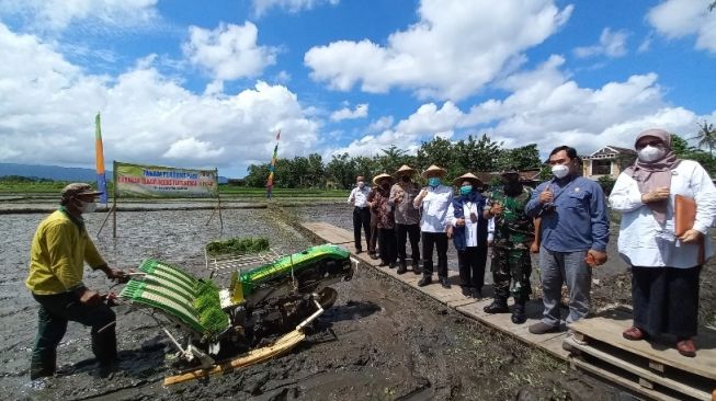 Kembangkan Pemenuhan Kebutuhan Pangan, Pemkot Jogja Kaji Ulang Pengadaan Lahan Pertanian di Luar Daerah