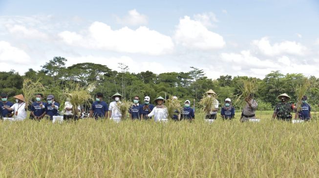 Kembangkan Potensi Pertanian, Bupati Sleman Kukuhkan 20 Pengurus Jaringan Petani Milenial