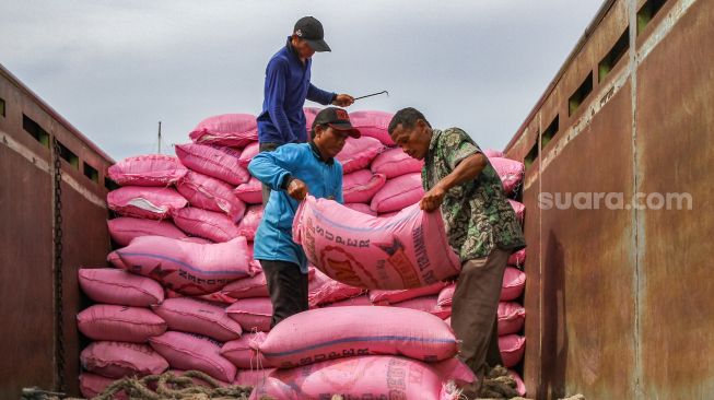 Buruh melakukan bongkar muat barang di Pelabuhan Sunda Kelapa, Jakarta Utara, Jumat (18/2/2022). [Suara.com/Alfian Winanto]